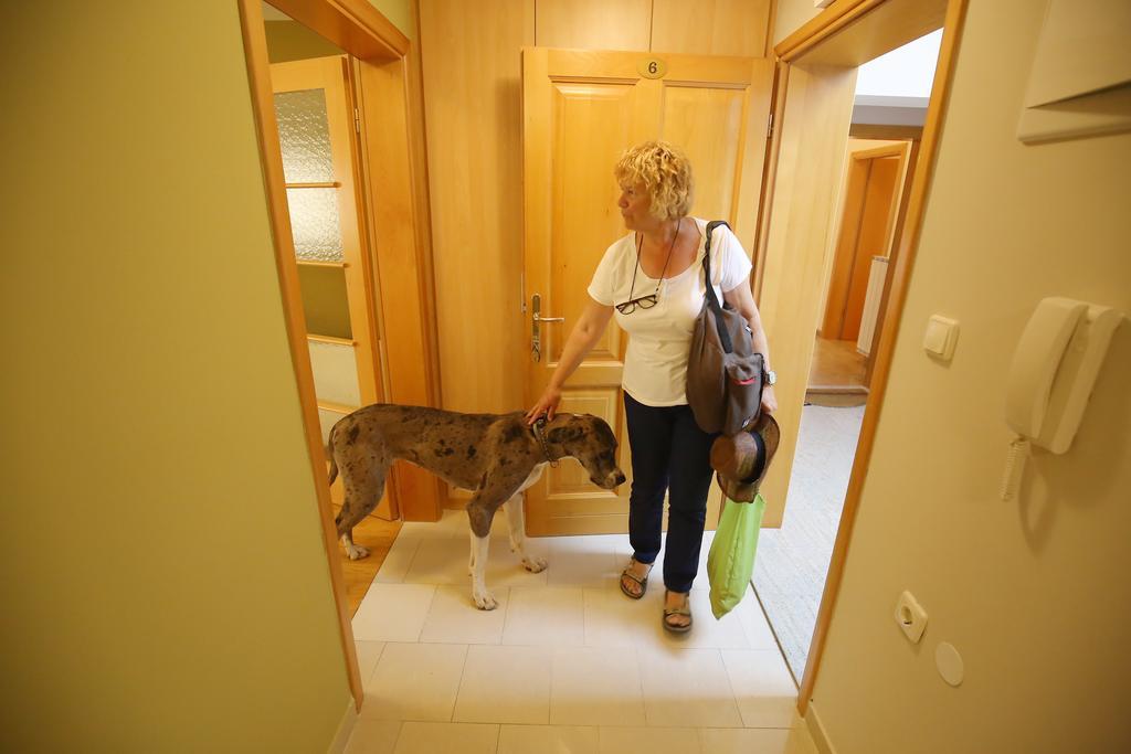 Villa Zubcic Zadar Eksteriør billede